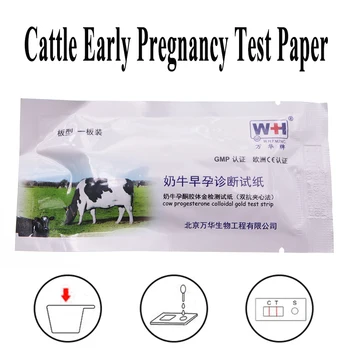1БР Тест Лента за началото на бременността, Хартия За определяне на Плода, Касета С Прогестерона и Коллоидным Злато, Едър Рогат Добитък, една Крава, за Разплод, Ветеринарен.